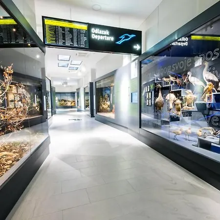 Апартаменты Angie In The Centre Of Меткович